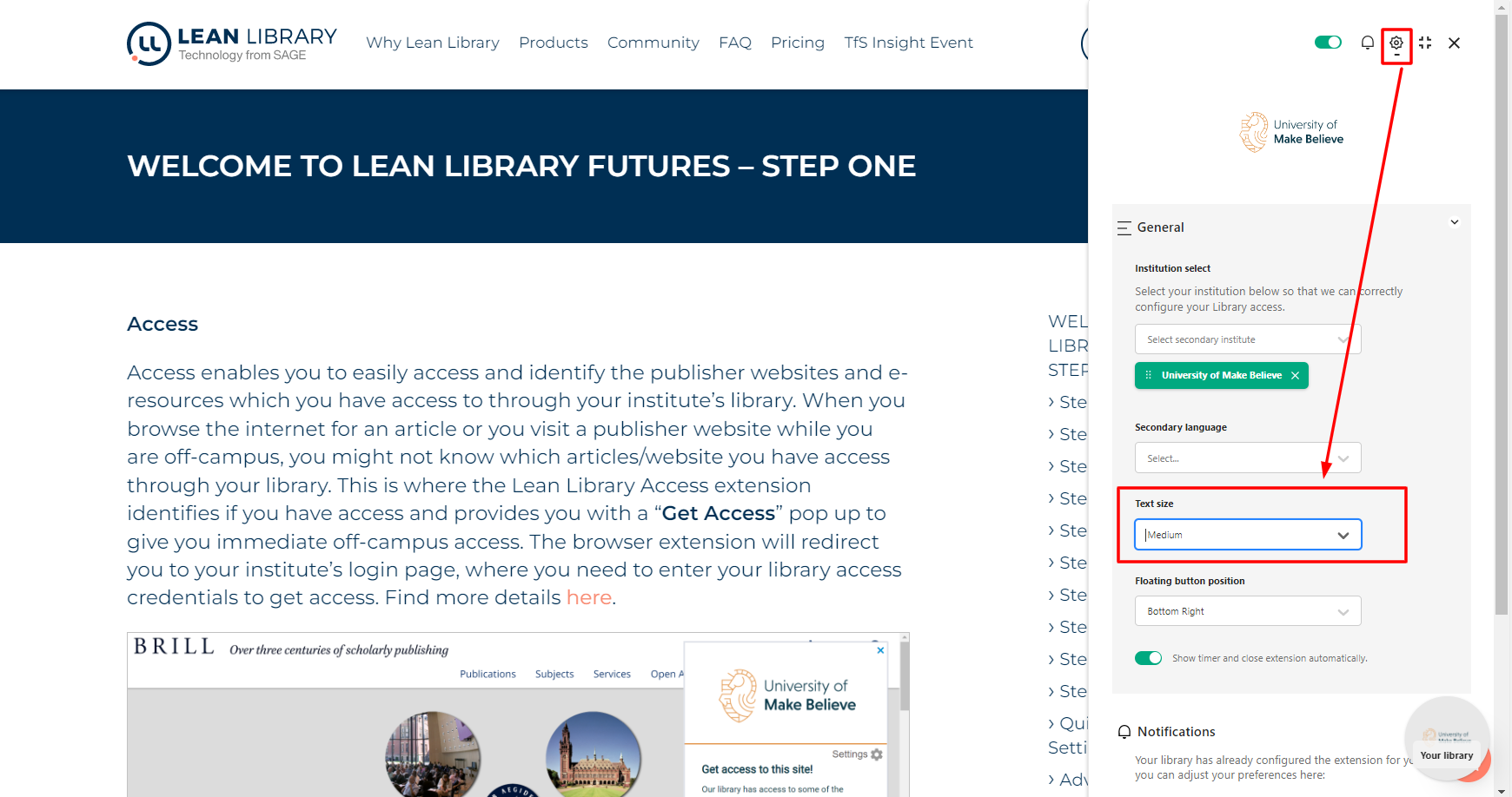 Enlarge or downsize extension pop-up text 2.png